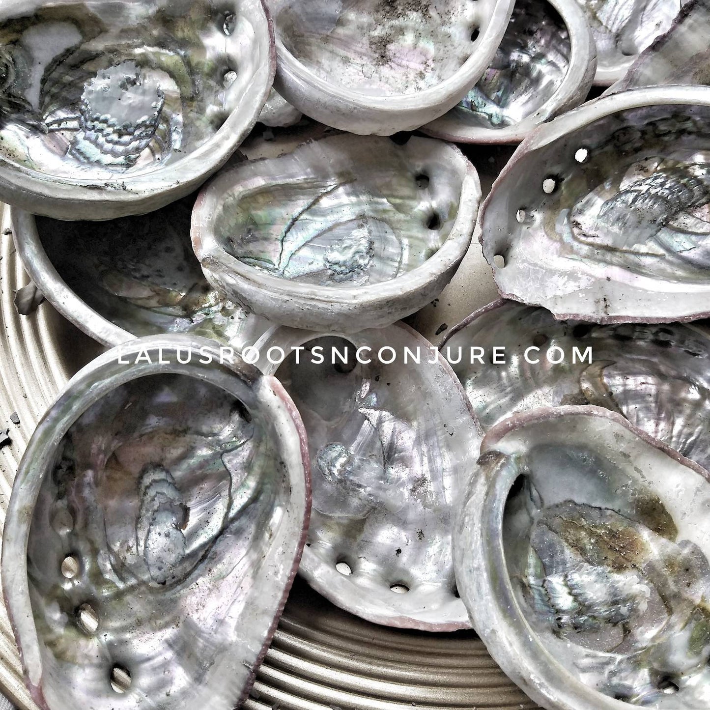 abalone shell ~ fire safe smudge tray altar dish